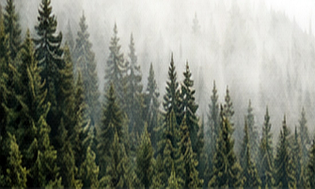 Forest inspiration for healthy materials